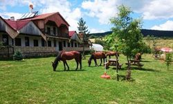 Eskişehir'de yeni at çiftliğinin temeli atıldı