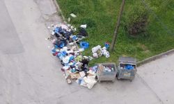 Eskişehir'de tepki çeken görüntü: Çöpleri etrafa boşalttılar