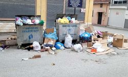 71 Evler Mahallesi'nde çöpler konteynerden taştı