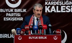 Destici Eskişehir’de Belediye Başkanlarına seslendi: Bu yıl ‘başıboş köpek yılı’ ilan edildi de bizim mi haberimiz yok?