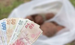 Eskişehir'de toprağın altından servet çıktı