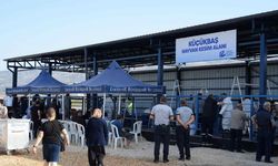 Eskişehir Hayvan Pazarı'nda bayram hazırlıkları tamamlandı