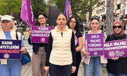 “Eskişehir’de şiddet görünmez kılınıyor”