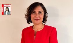 “Sorun toplamak değil kısırlaştırmamak”