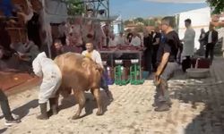 Kurban kesim alanında yürekleri ağza getiren kaza