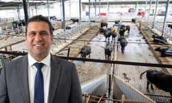 İnönü’de mandacılık sürdürülebilir kalkınmanın kilidi olacak