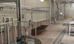 Eskişehir Büyükşehir'den yeni mezbaha: İhaleye çıkıldı