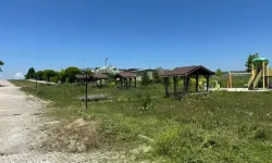 Eskişehir'de böcekler ve yılanlar her yeri sardı