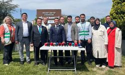 AK Parti’den Dünya Çevre Günü açıklaması: “Çevrecilik sadece sloganlarla olmaz”