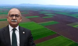 Milletvekili Arslan Alpu’daki maden projesini meclise taşıdı