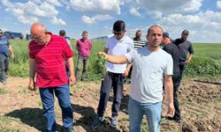Eskişehir'de 3 bin 550 dönümlük tarla 2 kişiye kiralandı iddiası: Kolluk kuvvetleri çatışmayı önlemek için nöbette
