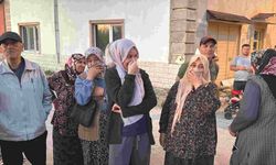 Eskişehir'deki mahalleyi haşereler sardı: Vatandaşlar kokudan duramaz oldu