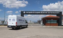 Bakımlarını üstlenemeyince yardım istedi, Eskişehir Büyükşehir Belediyesi sahip çıktı