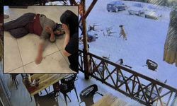 Dinlenme tesisinde dehşet! Köpek, saldırdığı kadının kolunu kopardı!