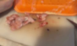 Eskişehir'de mide bulandıran görüntü