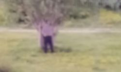 Eskişehir'deki parkta tepki çeken görüntü!