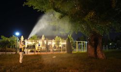 Park ve mesire alanları mercek altında: Eskişehir'de kene ve sineklere karşı ilaçlama sürüyor