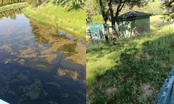 "Porsuk Çayı'nın mevcut hali Eskişehir'e yakışmıyor"