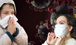 DSÖ açıkladı: Yeni virüs alarmı verildi! Salgında 304 kişi hayatını kaybetti