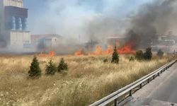 Alevler hızla yükseldi: Emirdağ yolunda trafik aksadı
