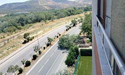 Eskişehir'de ağaç devrildi: Yol araç geçişine kapandı