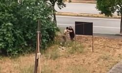 Sokak ortasında dehşet: Tartıştığı amcasını palayla öldürdü