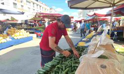 Eskişehir'de salatalıkların arasından çıktı! Piyasa değeri 155 bin TL