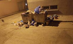 Çamlıca Mahallesi'nde çöp isyanı: "Kamyon ve konteynerler yetersiz"