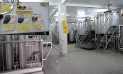 Dağ köylerinin sütü Mihalıççık Peyniri oldu