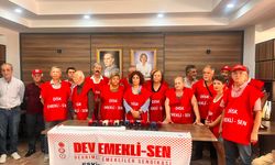 DİSK Dev Emekli-Sen: "Emekliler sefalet düzenine mahkum ediliyor"