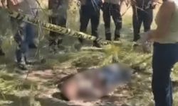 Eskişehir'deki boş arazide erkek cesedi bulundu