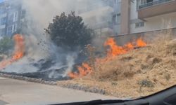 Eskişehir'de yerleşim yerine yakın alanda yangın paniği