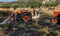 Eskişehir yolunda orman yangını