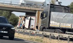 Eskişehir'de arızalı kamyonete tır çarptı