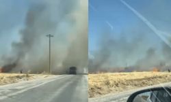 Eskişehir'de ekili arazide yangın çıktı