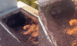 Eskişehir'de köpekler mezarları eşeledi