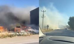 Eskişehir'deki hobi bahçelerinde yangın: Birden fazla alan alevler altında