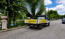 Eskişehir'de sokak sokak ilaçlama çalışmaları devam ediyor