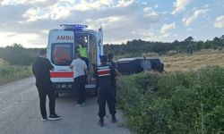 Kamyonet tarlaya devrildi: 1 yaralı