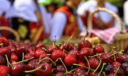 Ertelendiği açıklanmıştı: Eskişehir'in 46 yıllık festivalinin yeni tarihi belli oldu