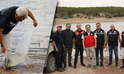Musaözü Göleti'ne 2 bin 500 yayın balığı bırakıldı