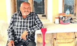 Akılalmaz ölüm: Kanepede uyurken ayı saldırısına uğradı, hayatını kaybetti