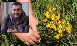 Sağlık teknisyeni sarı kantaron toplarken hayatını kaybetti