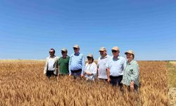 Eskişehir’de 15 farklı tohum çeşidi çiftçilerle buluştu