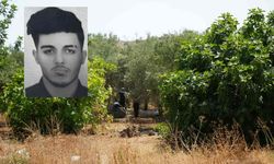 25 yaşındaki genç ağaçlık alanda elleri arkadan bağlı halde ölü bulundu