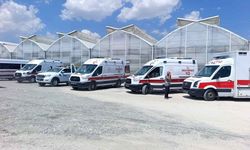 Domates serasında 40 kişi zehirlendi 10 işçi hastaneye kaldırıldı