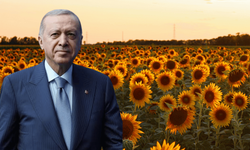 Erdoğan'ın çağrısı sonrası ektiler! Çiftçiler üretimi 2 katına çıkardı