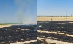 Eskişehir’de kuşun çarpmasıyla trafo patladı, yangın çıktı