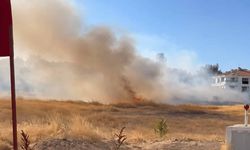 Eskişehir'de yerleşim yerine yakın alanda yangın