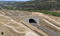 Eskişehir’deki 2 bin 500 metrekarelik ekolojik köprü örnek oldu